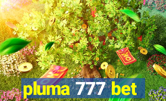 pluma 777 bet